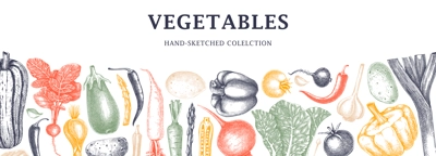 Hand-sketched vegetables design in color. Hand-drawn tomatoes, squashes, peppers, potatoes, asparagus and other vegetables. Healthy food banner for menu, restaurant, packaging. Botanical illustration